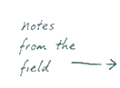 notes from the field